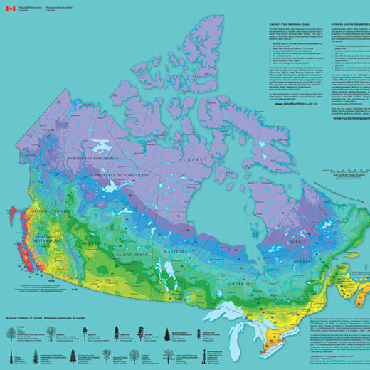Image of Canada showing the various hardiness zones